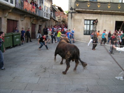 Festa do Boi - Allariz