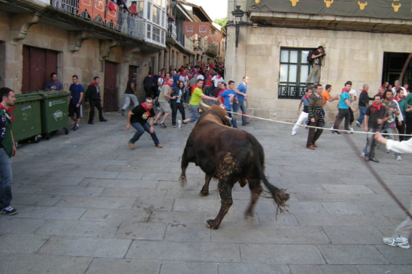 Festa do Boi - Allariz